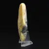 Bumblebee Jasper Stor Polerad Stenkollektion - 3