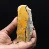 Polerad humla-jaspisplakett - 1