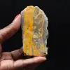 Jasper Bumblebee: Samlarplakett - 1