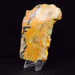 Humla Jasper: Java-skiva