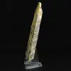 Humlajaspis: Mineralogisk skiva av Java - 3