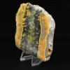 Humlajaspis: fyrkantig sedimentär platta - 2