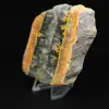 Humlajaspis: fyrkantig sedimentär platta - 5