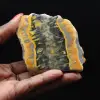 Humlajaspis: fyrkantig sedimentär platta - 1
