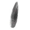 Orthoceras-fossil - 2