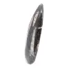 Fossila Orthoceras från Marocko - 2