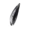 Orthoceras-fossil - 2