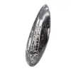 Orthoceras-fossil - 2