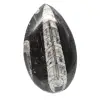 Orthoceras-fossil - 0