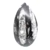 Orthoceras-fossil - 0