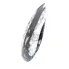 Orthoceras-fossil - 2