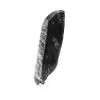 Orthoceras-fossil - 2