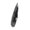 Orthoceras-fossil - 2