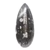 Orthoceras-fossil - 0
