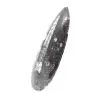 Orthoceras-fossil - 2
