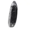 Fossila Orthoceras från Marocko - 2