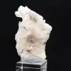 Himalayakvarts - 8