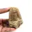 Fossil trilobit