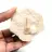 Fossil tand av Otodus