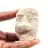 Fossil tand av Otodus