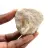 Fossil tand av Otodus