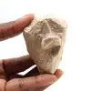 Fossil tand av Otodus - 0