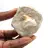 Fossil tand av Otodus