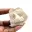 Fossil tand av Otodus från Marocko — 9