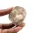 Fossil tand av Otodus