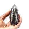 Fossila Orthoceras från Marocko - 1