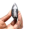 Orthoceras-fossil - 1