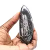 Orthoceras-fossil - 1