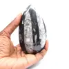 Orthoceras-fossil - 1