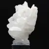 Himalayakristallfaden - 2