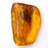 Baltisk bärnsten – Mineralogistensföremål - 0