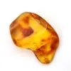 Liten gul bärnstenssten – Fossil Collectible - 0