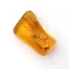 Mini baltisk gul bärnsten – fossil för dekoration - 0