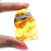 Autentisk polerad bärnsten från Litauen - Mineralogiprov - 1