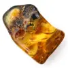 Autentisk polerad bärnsten från Litauen - Mineralogiprov - 2