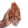 Polerad förstenad träskiva, liten fossilprydnad, Madagaskar - 0