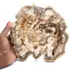Fossiliserat trä (skiva), polerat ornament, samlarobjekt, Madagaskar - 0