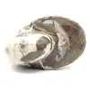 Ammonitprov från Madagaskar - Polerat fossil för samlare - 1