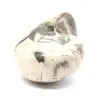 Ammonitprov från Madagaskar - Polerat fossil för samlare - 2