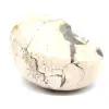 Ammonitprov från Madagaskar - Polerat fossil för samlare - 3