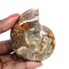 Liten polerad ammonitfossil från Madagaskar - Äkthetsgaranti - 0