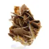 Liten marockansk brun baryta - 2