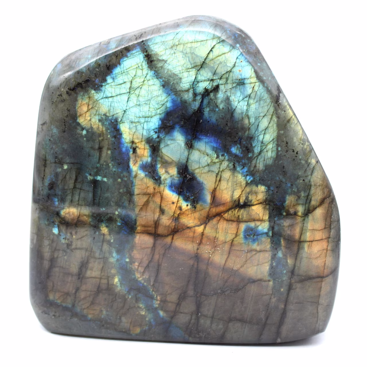 Polerad labradorit, mineralogiskt prov