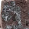 Marockansk pyrolusit, autentisk kristallisering - 2