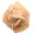 Marockos lilla ökenros: naturligt geologiskt fragment — 5