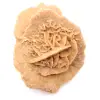 Marockos lilla ökenros: naturligt geologiskt fragment - 9
